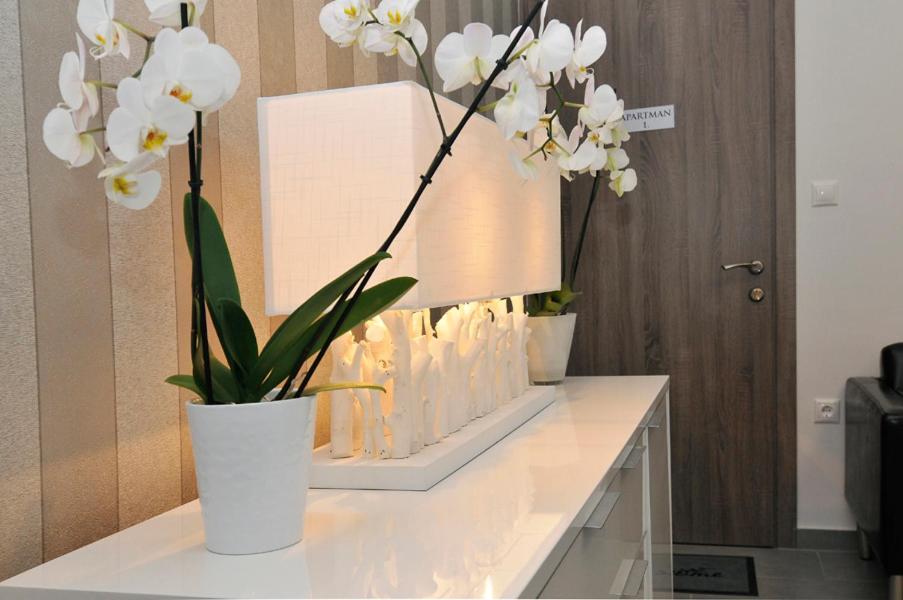 Silver Beach Apartments シオーフォク エクステリア 写真